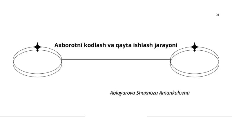 Axborotni kodlash va qayta ishlash jarayoni