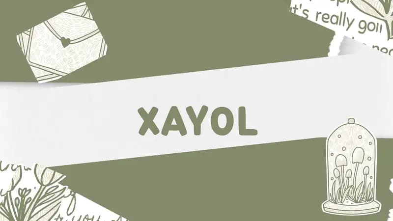 Xayol