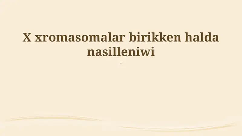 X Xromasomalar