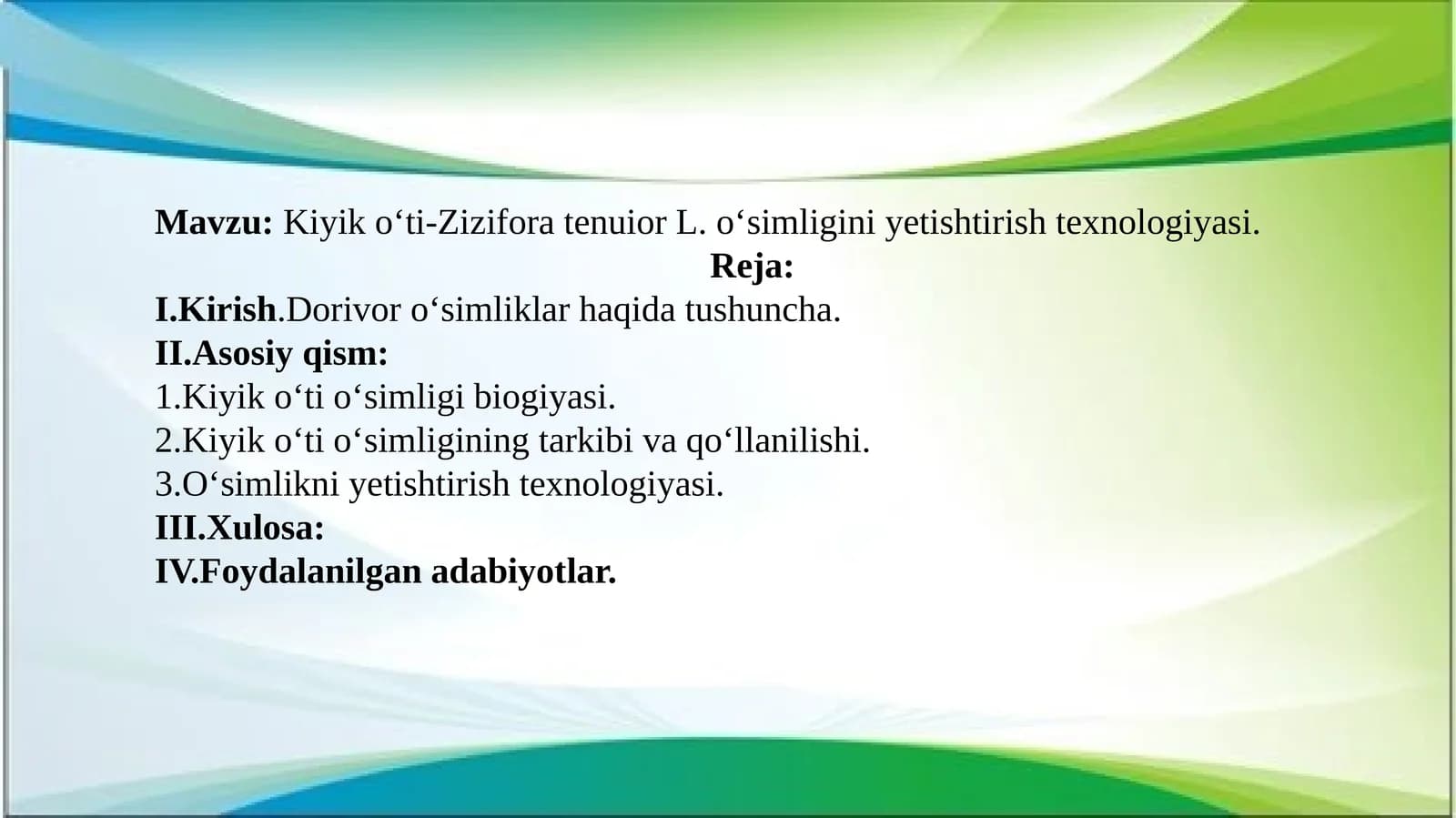 Kiyik oʻti-Zizifora tenuior L. oʻsimligini yetishtirish texnologiyasi