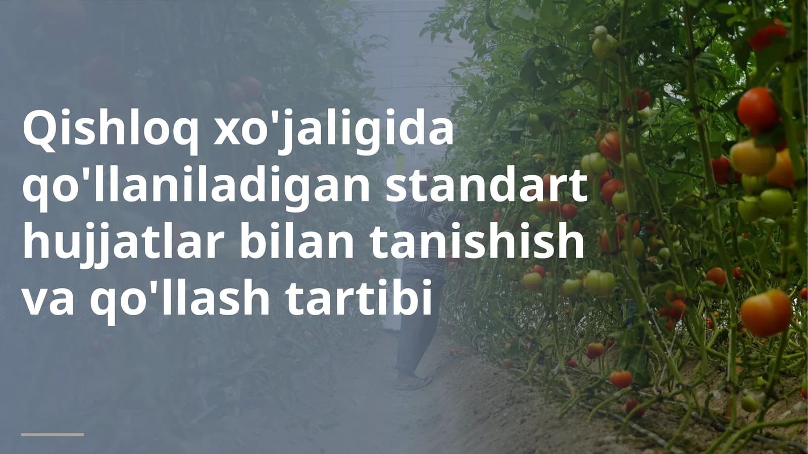 ILMIY-TEXNIK TAHLILIY TAQDIMOT