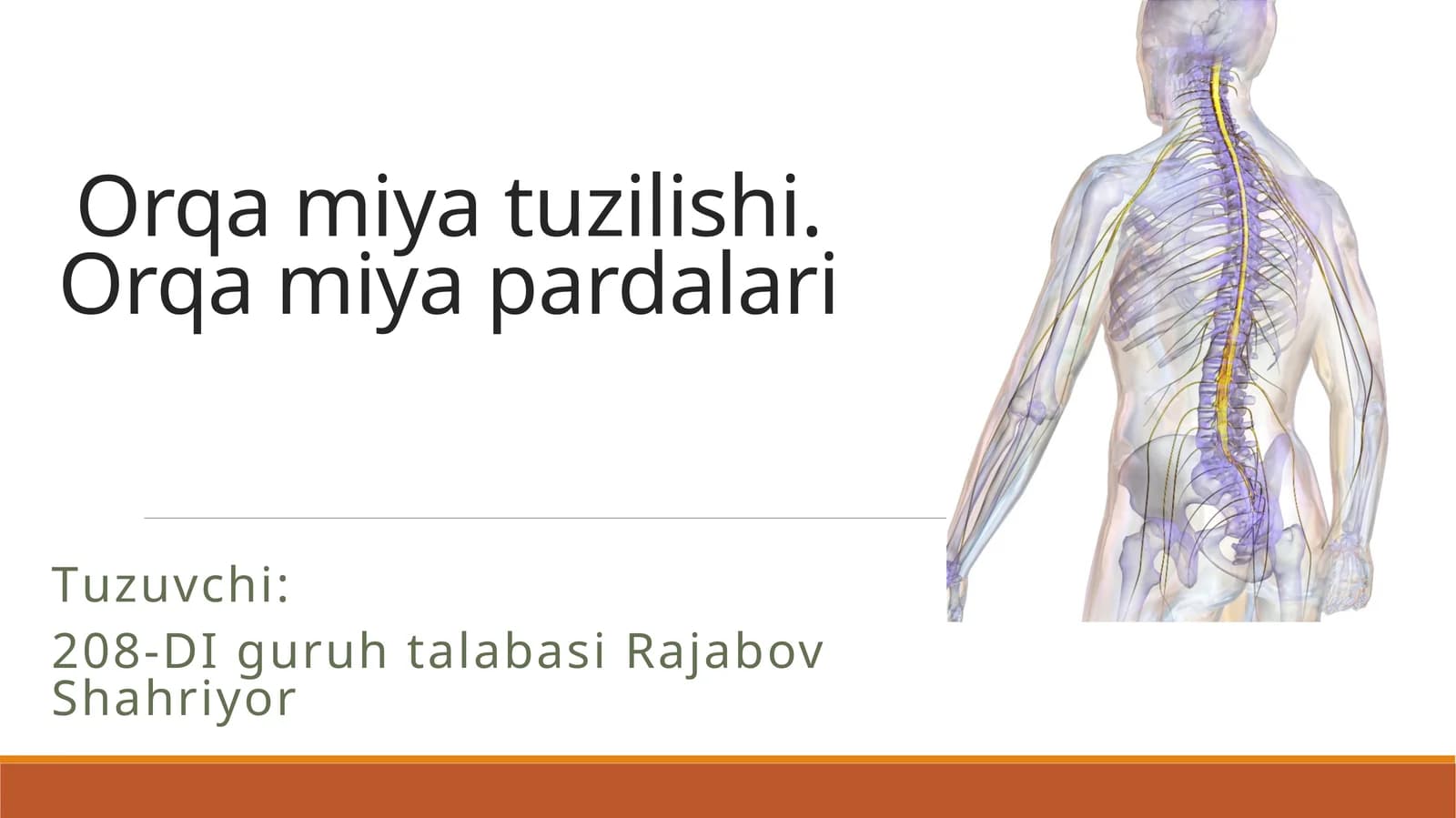 Orqamiyatuzilishi.Orqamiyapardalari