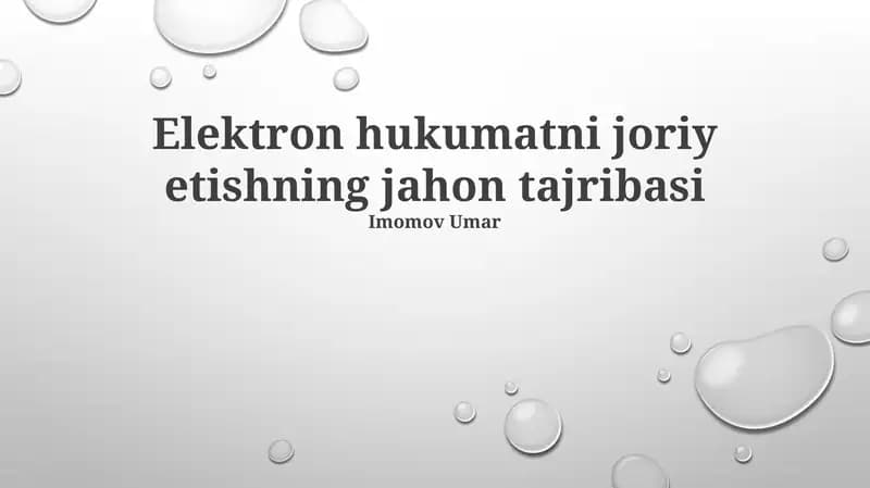 Elektron hukumatni joriy etishning jahon tajribasi