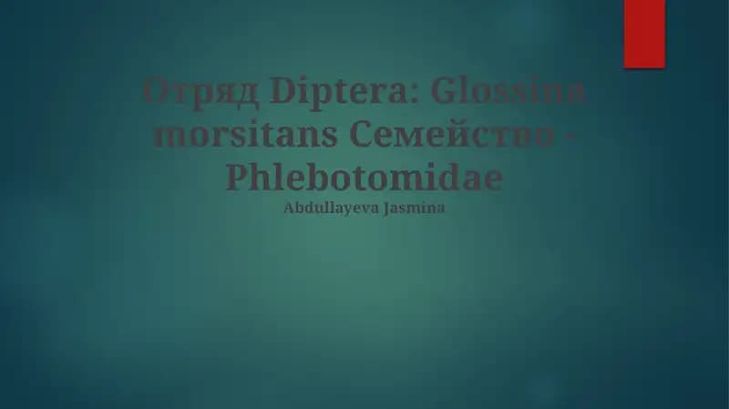 Glossina morsitans