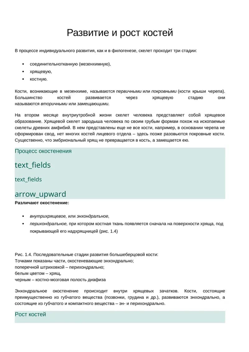 Развитие и рост костей