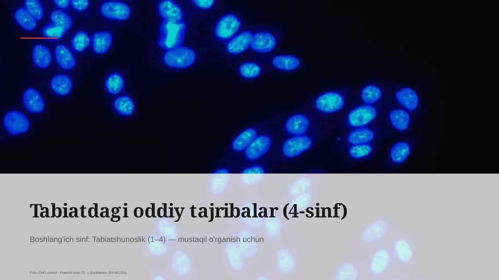 Tabiatdagi oddiy tajribalar (4-sinf)