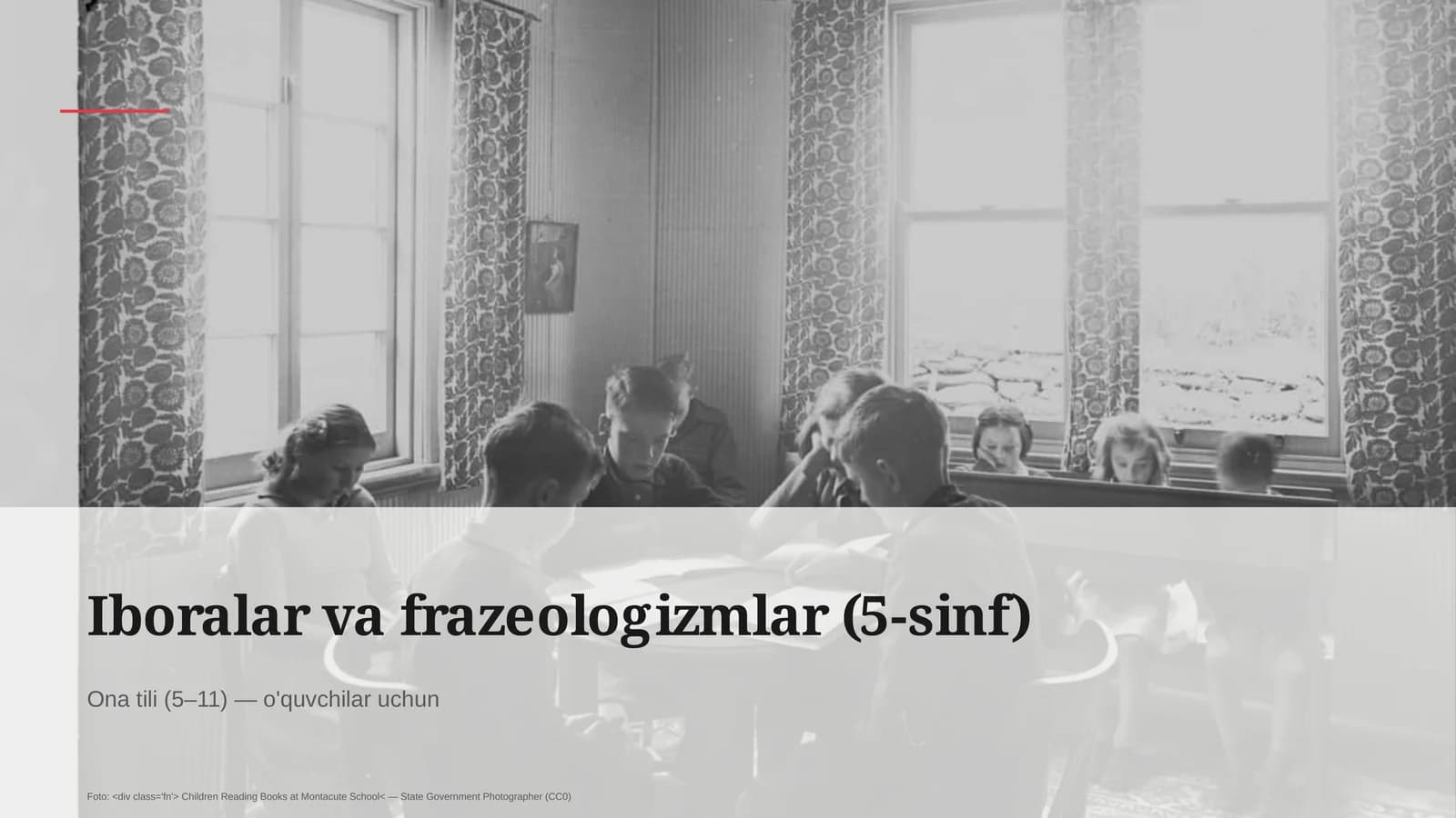 Iboralar va frazeologizmlar (5-sinf)