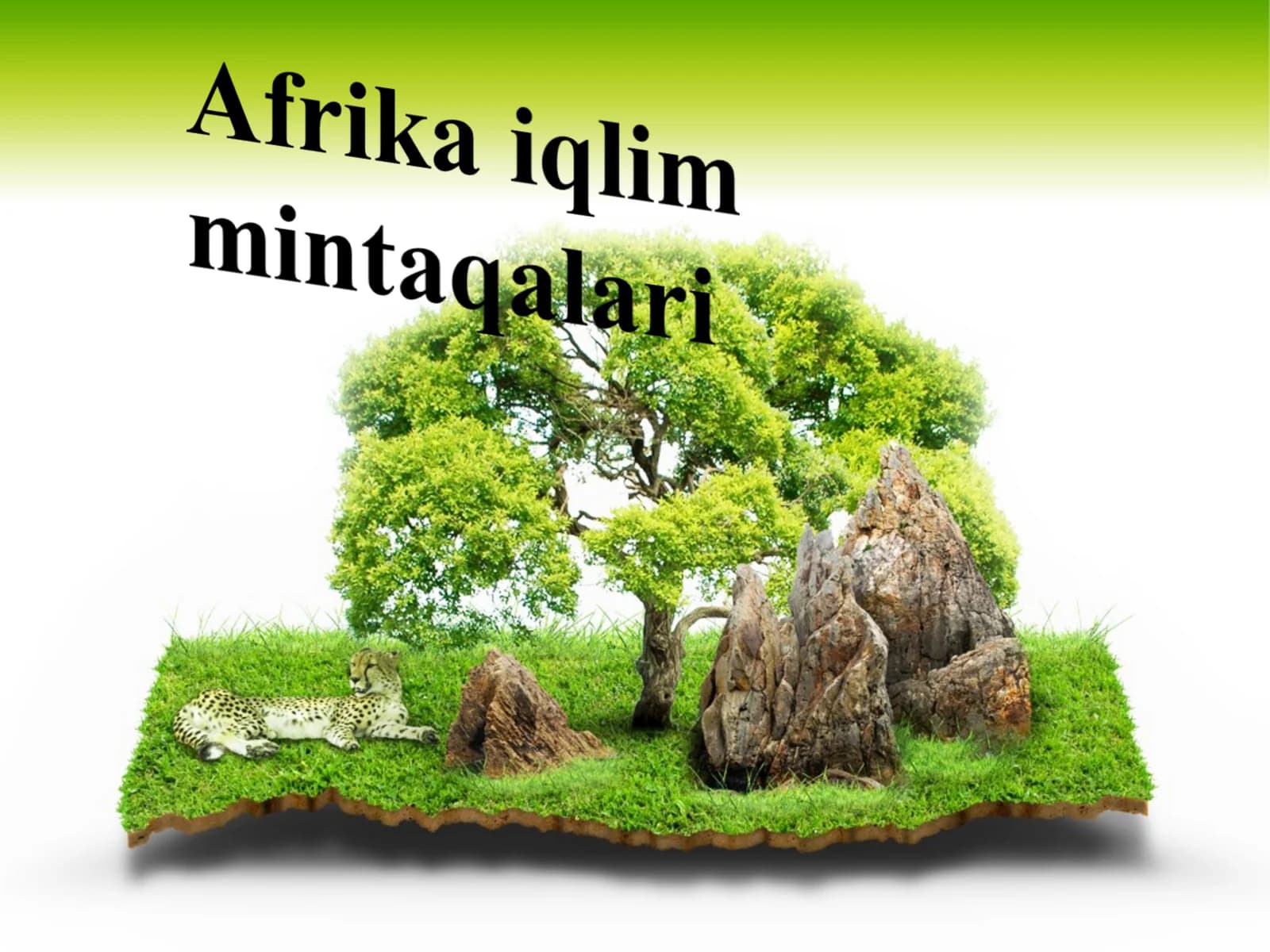 Afrika iqlim mintaqalari