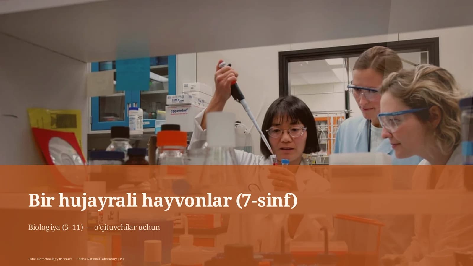Bir hujayrali hayvonlar (7-sinf)