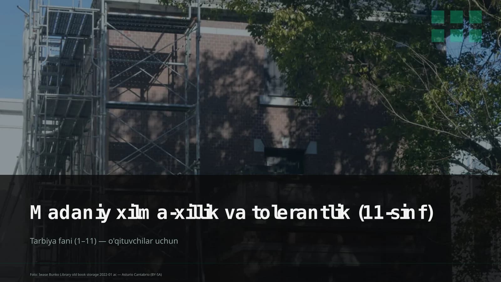 Madaniy xilma-xillik va tolerantlik (11-sinf)