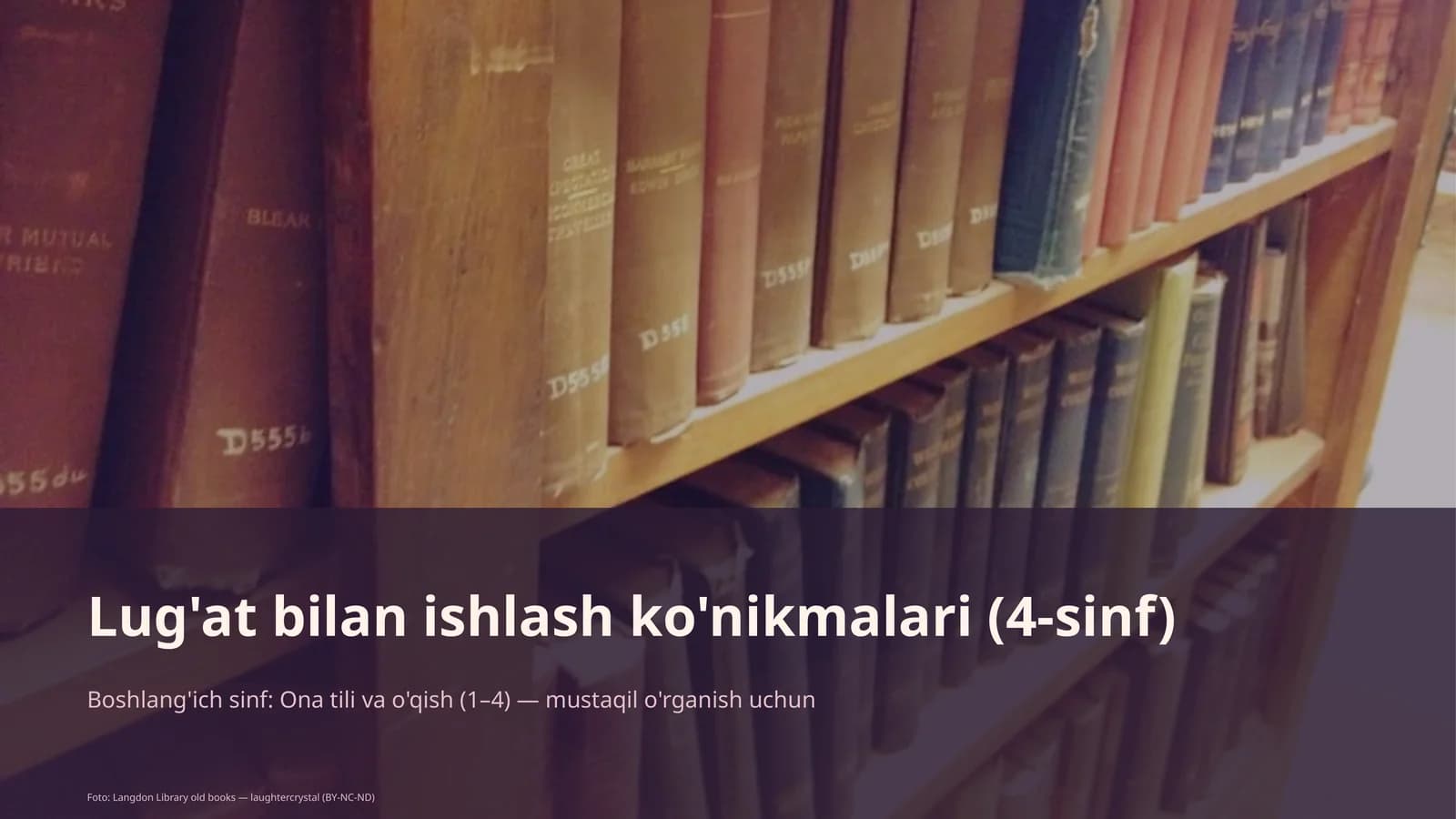 Lug'at bilan ishlash ko'nikmalari (4-sinf)