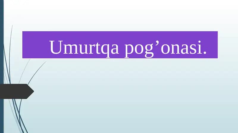 Umurtqa pog’onasi.