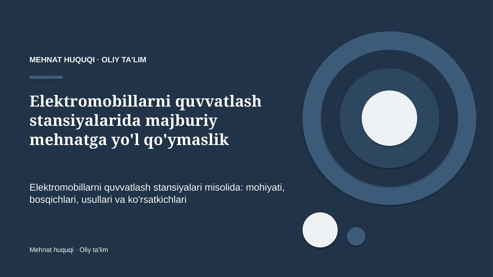 elektromobillarni quvvatlash stansiyalarida majburiy mehnatga yo'l qo'ymaslik 4609