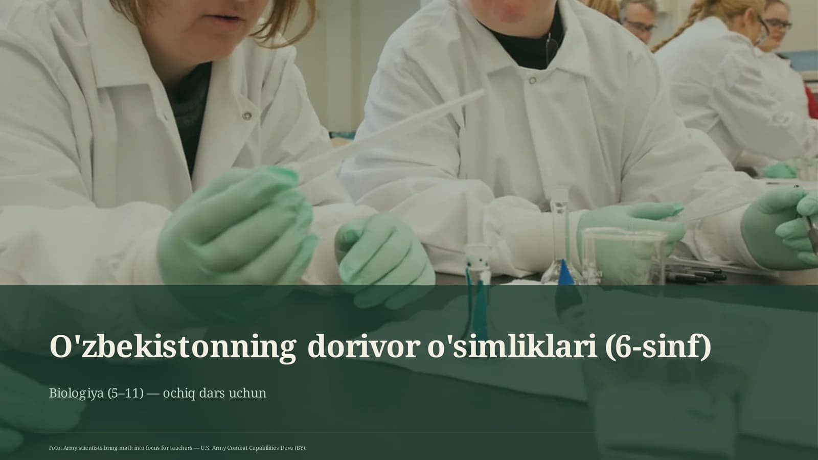 O'zbekistonning dorivor o'simliklari (6-sinf)