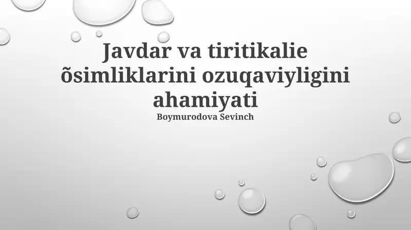 Javdar va Tiritikalie oziqlanishi