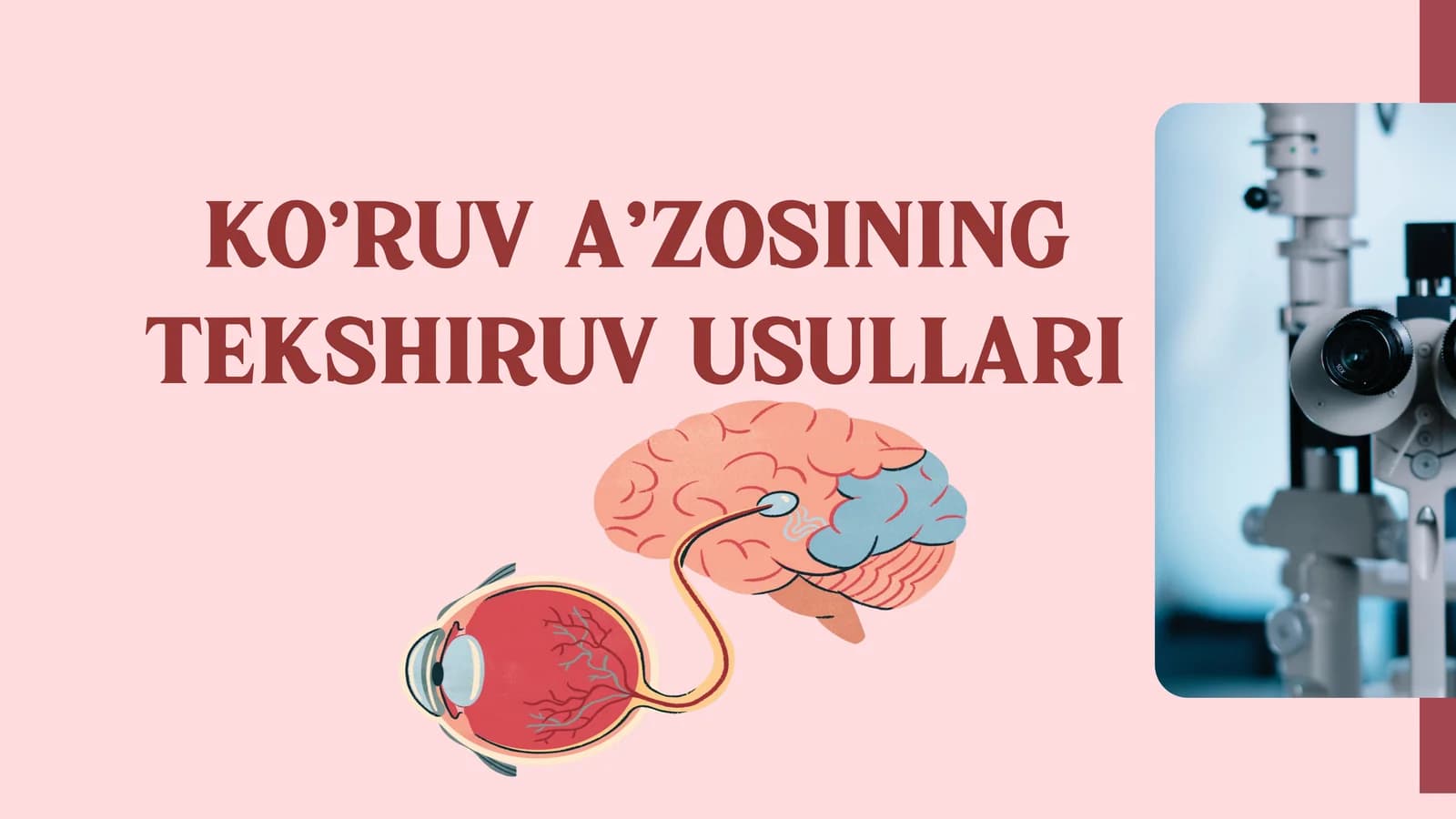 KO’RUV A’ZOSINING TEKSHIRUV USULLARI