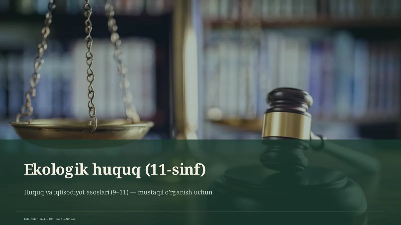 Ekologik huquq (11-sinf)