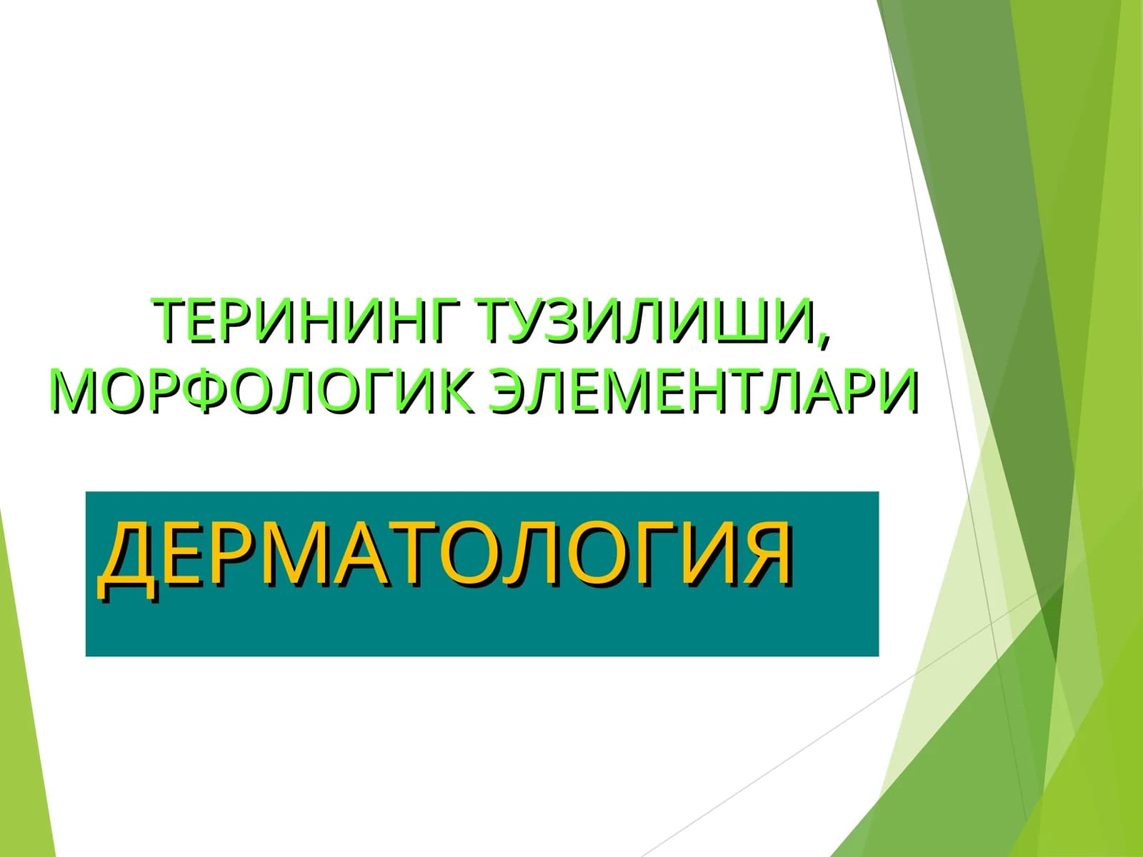 ДЕРМАТОЛОГИЯ ТЕРИНИНГТУЗИЛИШИ,МОРФОЛОГИК ЭЛЕМЕНТЛАРИ