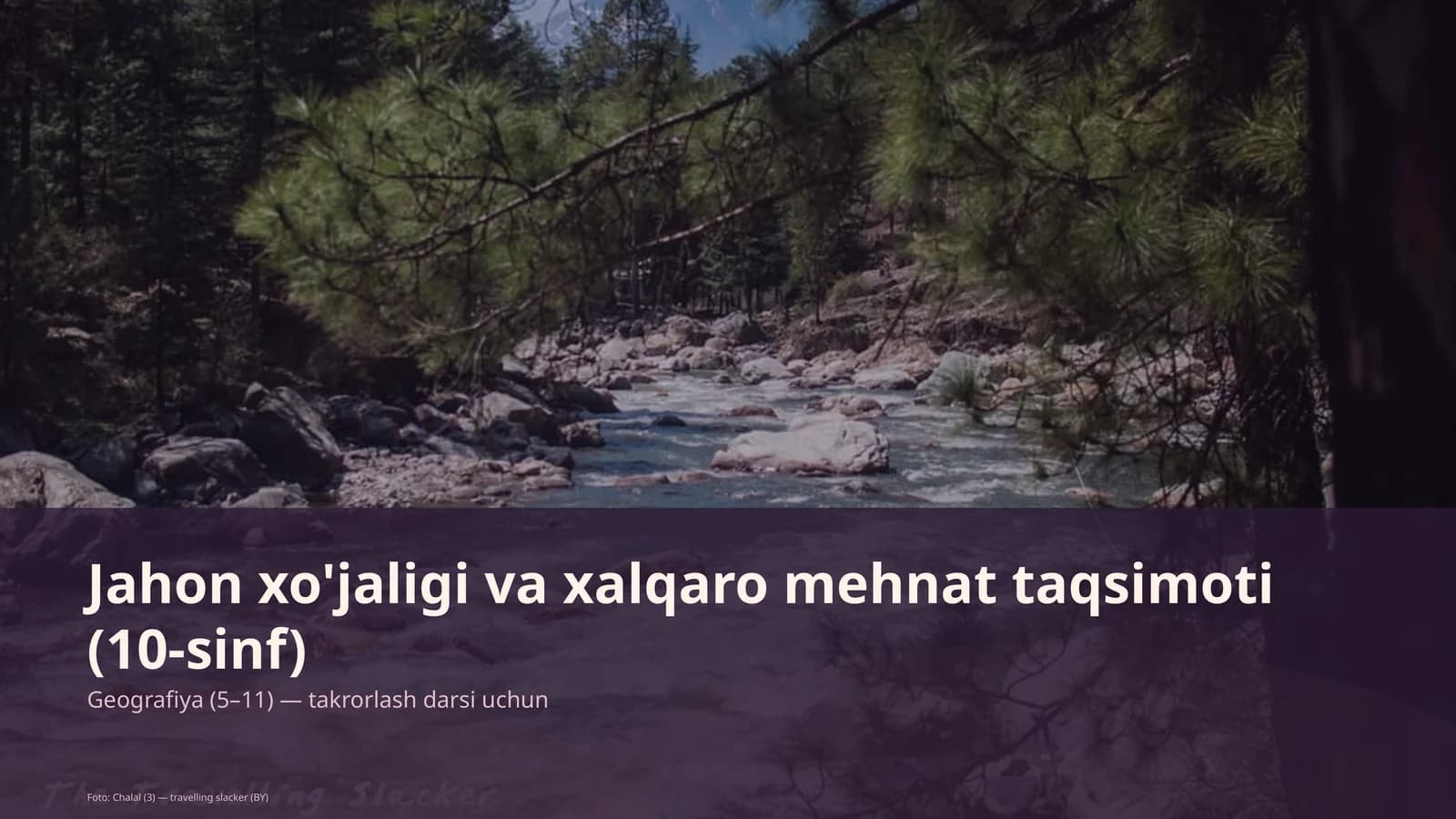 Jahon xo'jaligi va xalqaro mehnat taqsimoti (10-sinf)