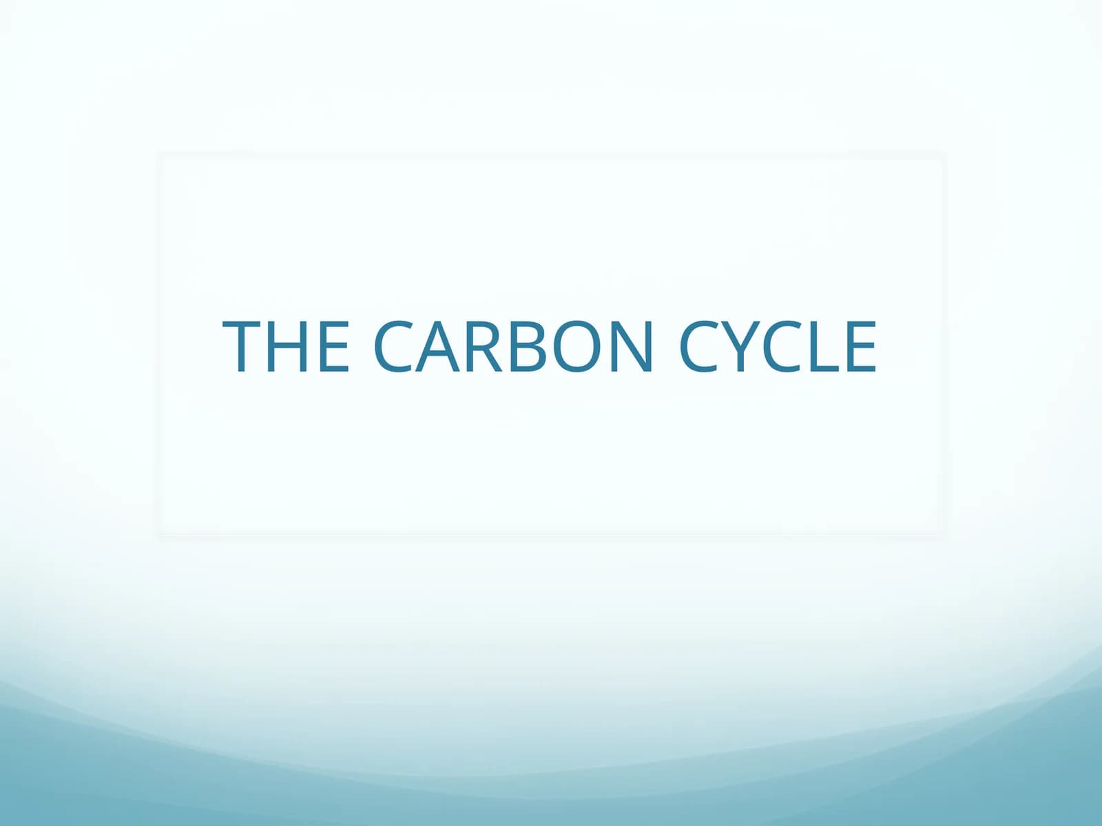 The Carbon Cycle