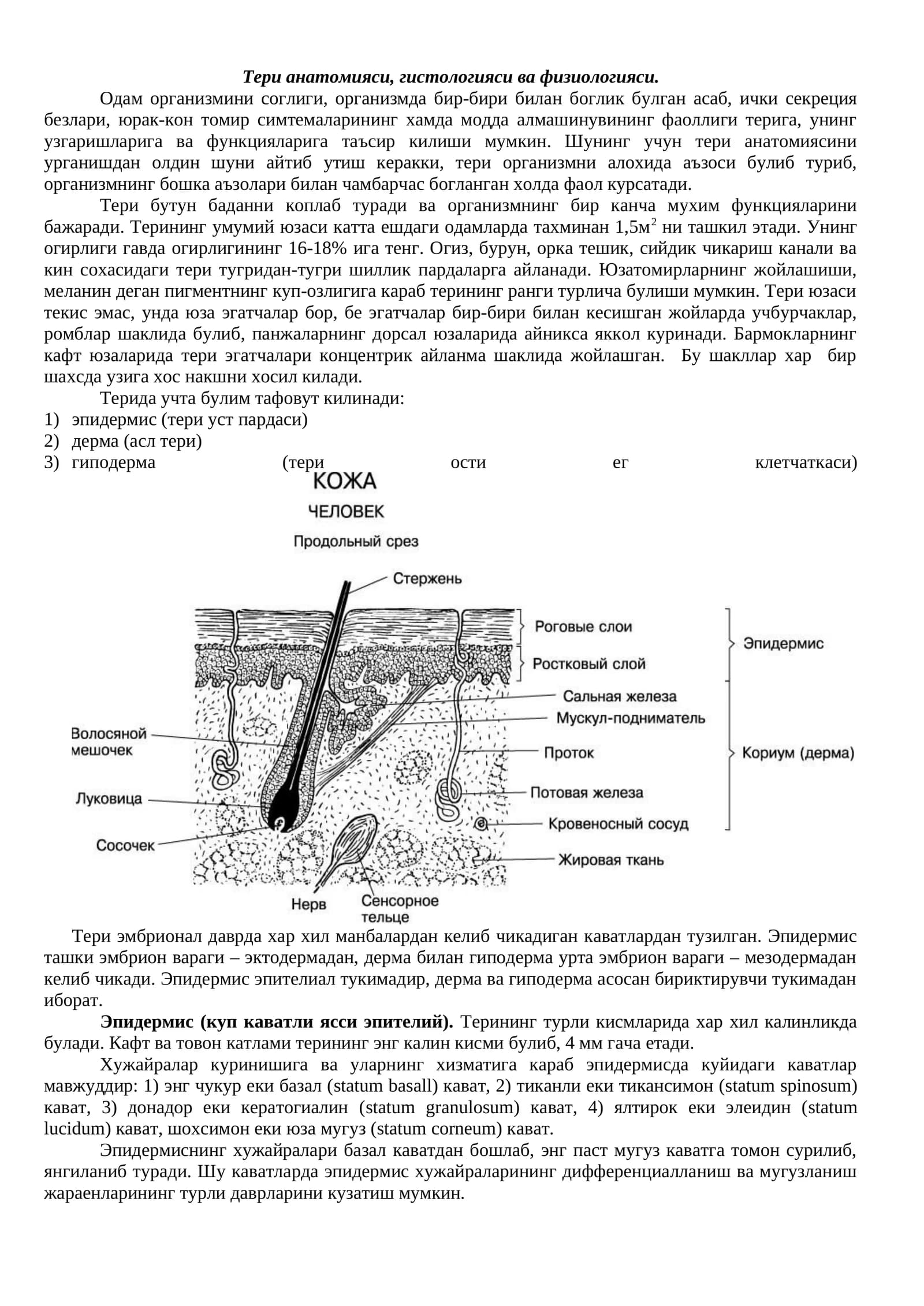Тери анатомияси, гистологияси ва физиологияси