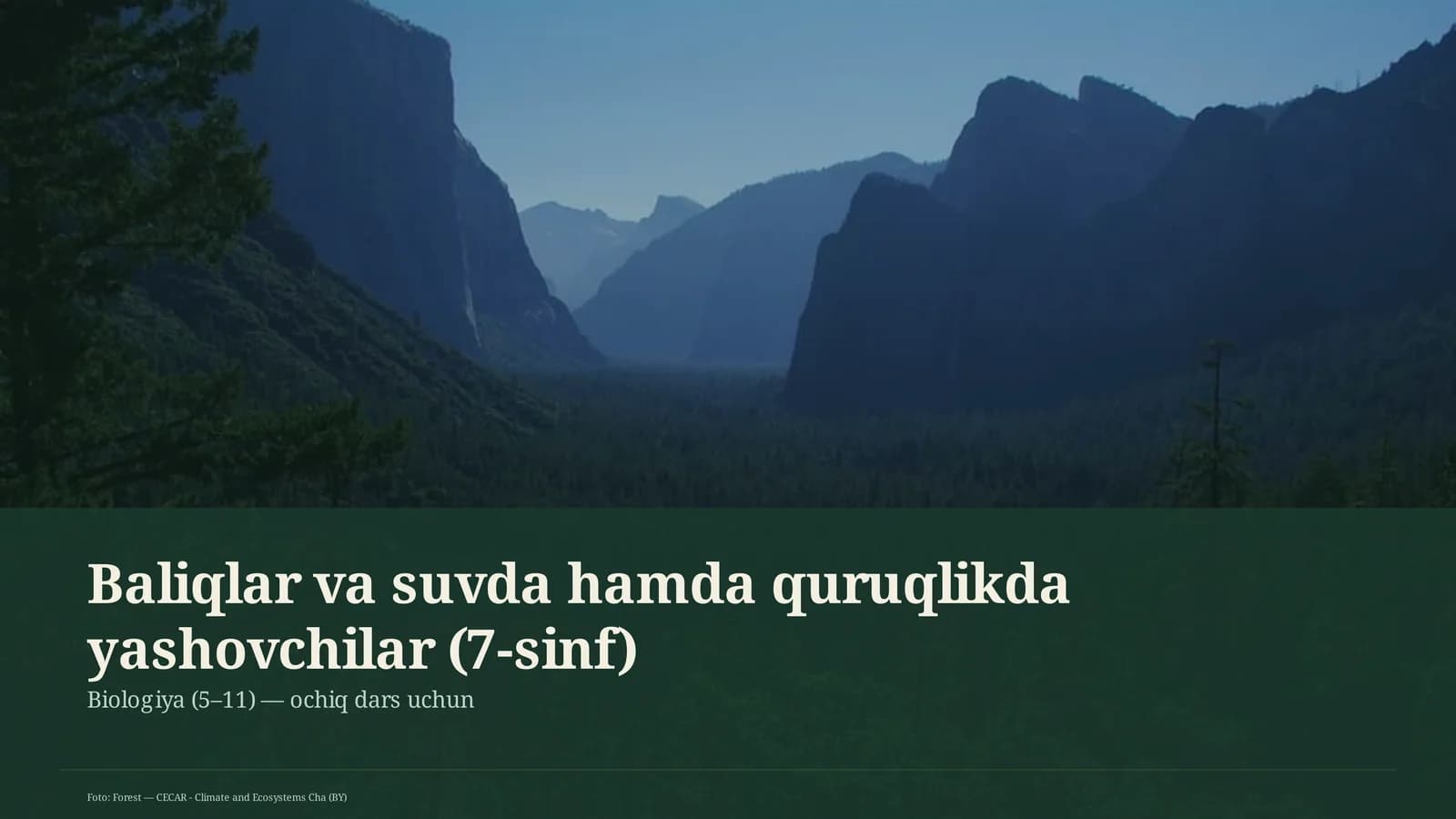 Baliqlar va suvda hamda quruqlikda yashovchilar (7-sinf)