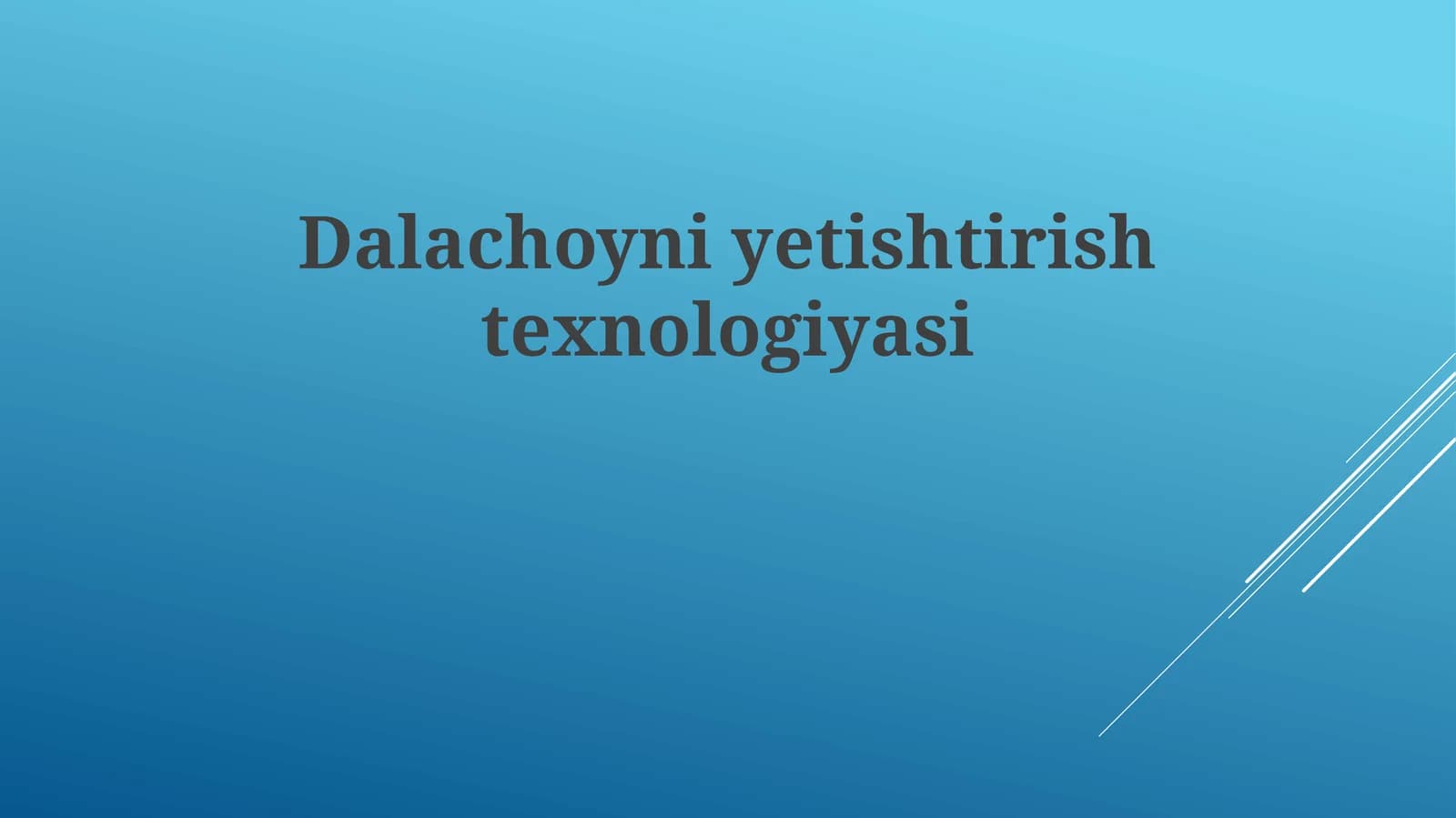 Dalachoyni yetishtirish texnologiyalari