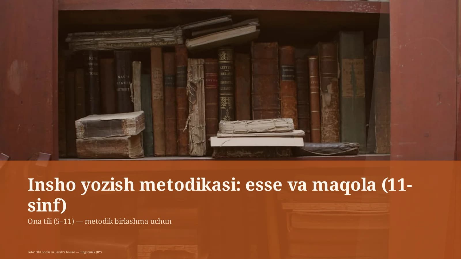 Insho yozish metodikasi: esse va maqola (11-sinf)
