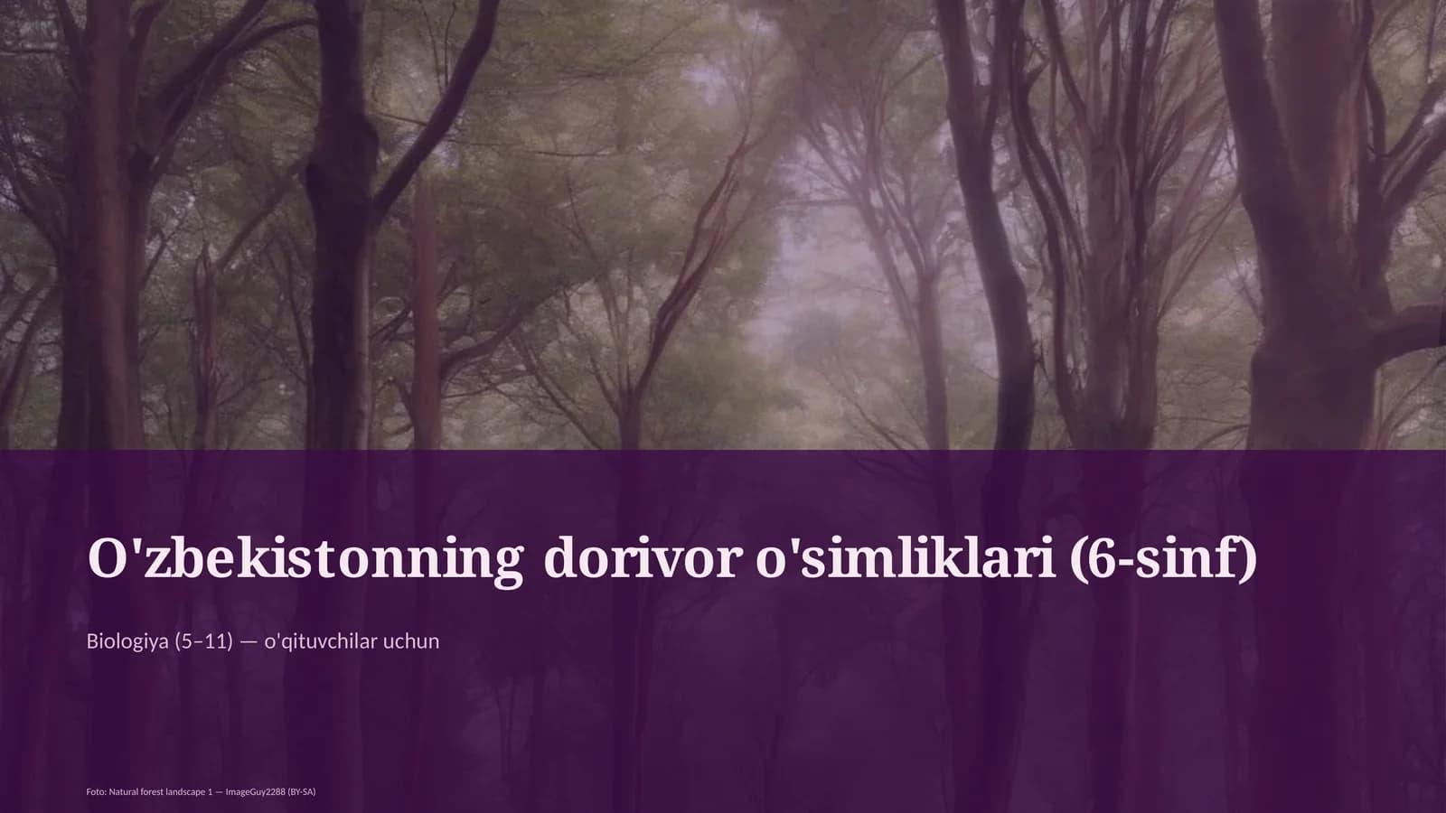 O'zbekistonning dorivor o'simliklari (6-sinf)