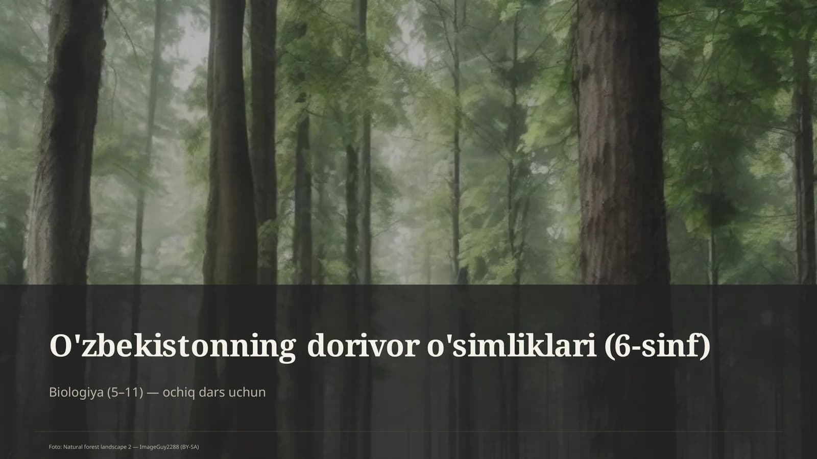 O'zbekistonning dorivor o'simliklari (6-sinf)