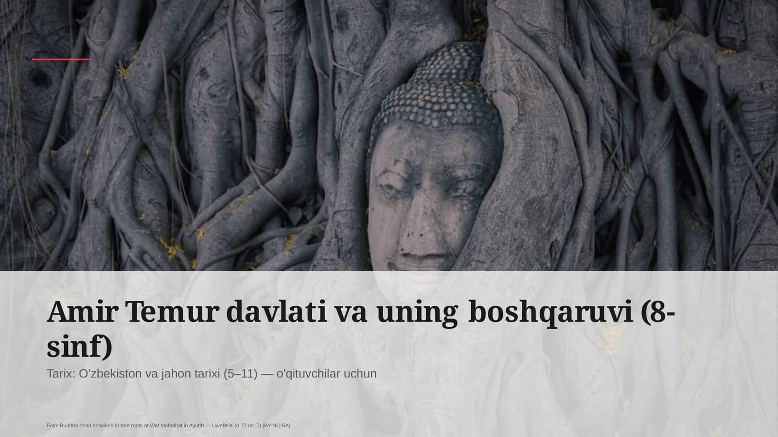 Amir Temur davlati va uning boshqaruvi (8-sinf)