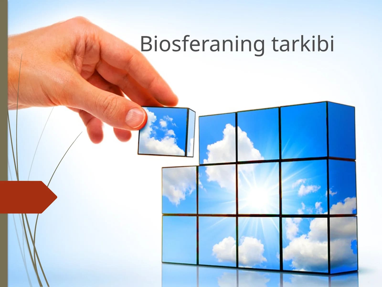 Biosferaning tarkibi