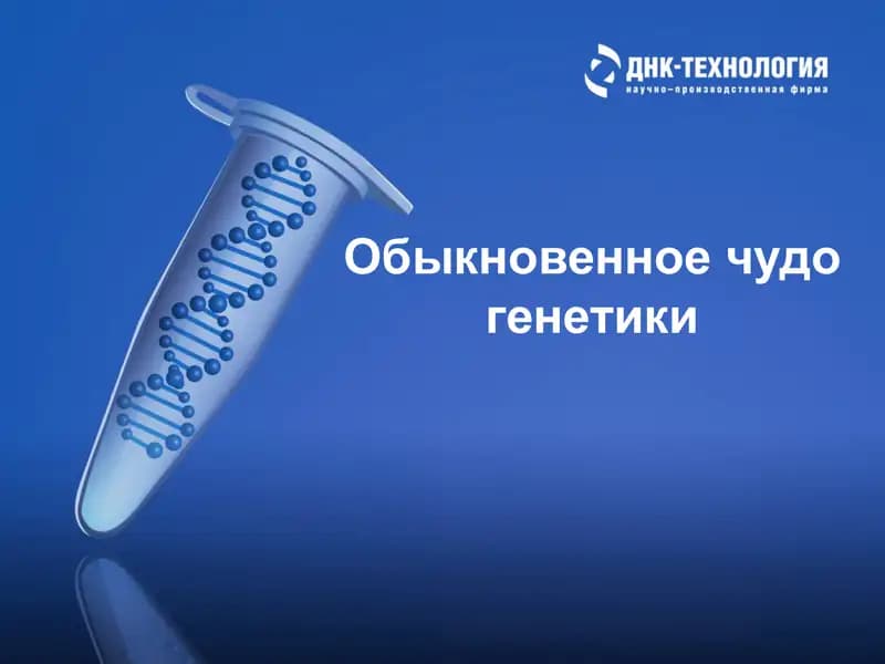 Обыкновенное чудо генетики