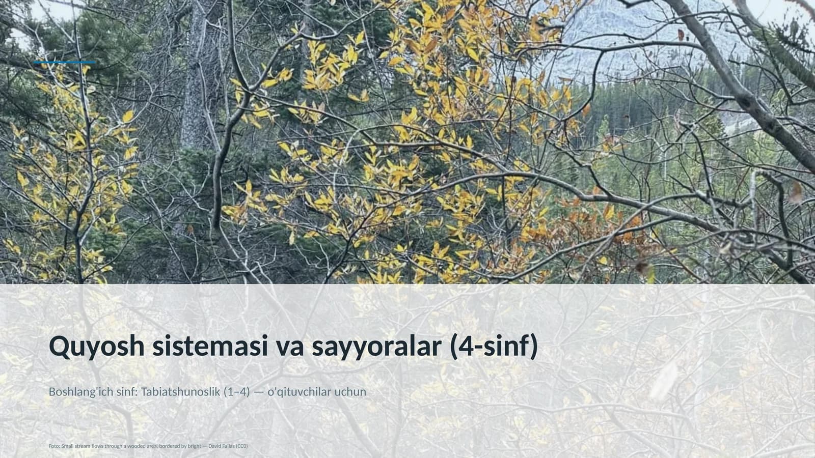 Quyosh sistemasi va sayyoralar (4-sinf)