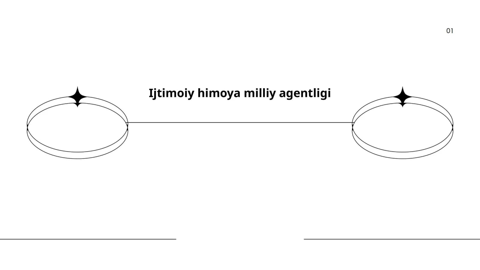 Ijtimoiy himoya milliy agentligi