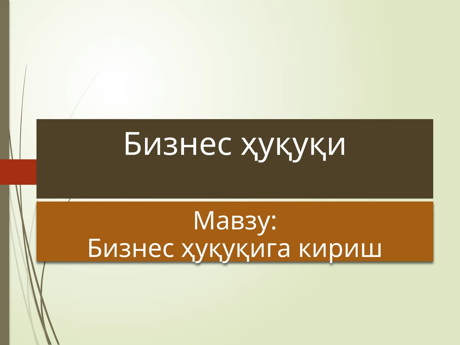 Business Huquqiga kirish