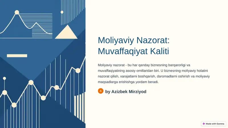 Moliyaviy Nazorat