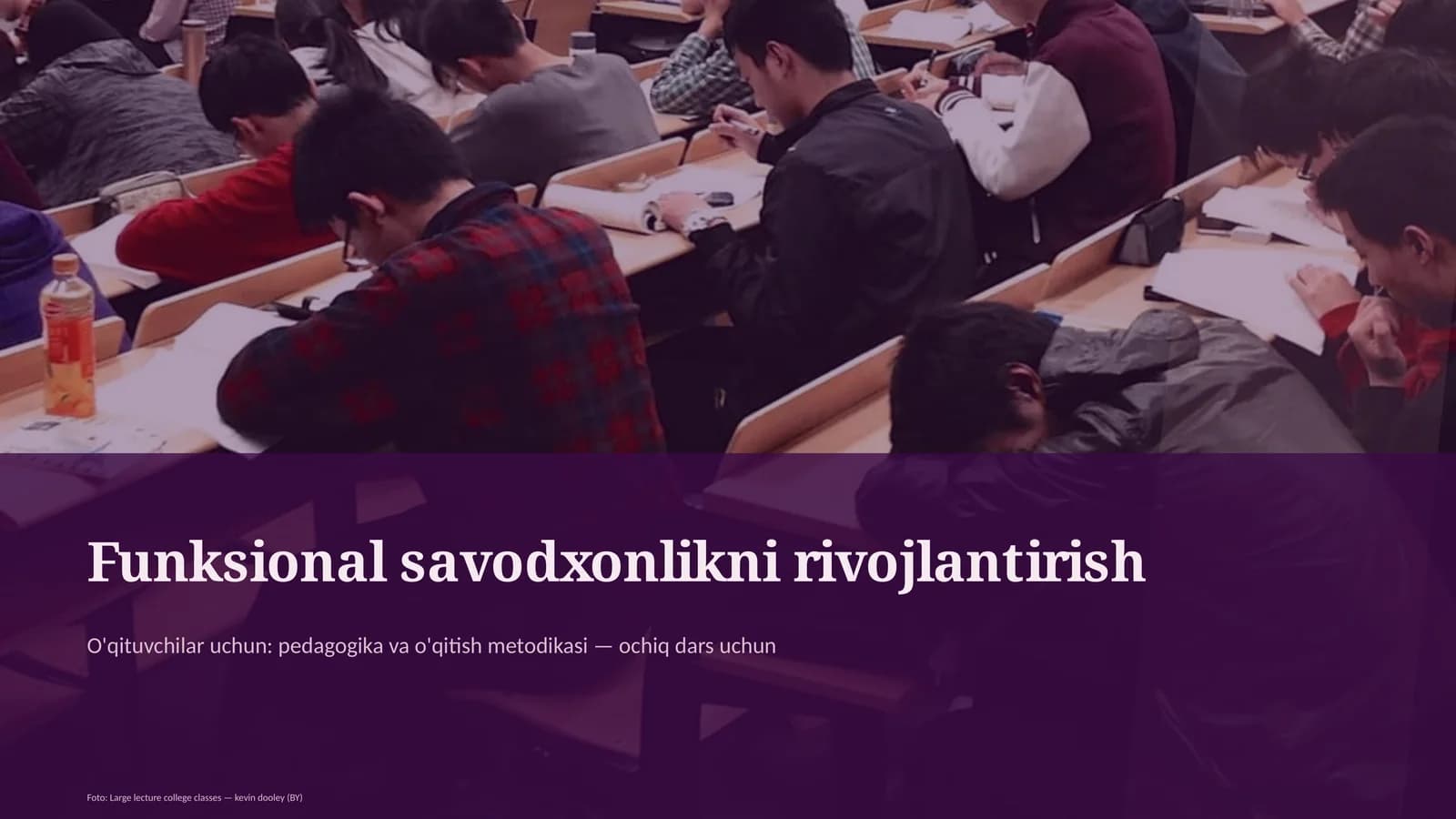 Funksional savodxonlikni rivojlantirish