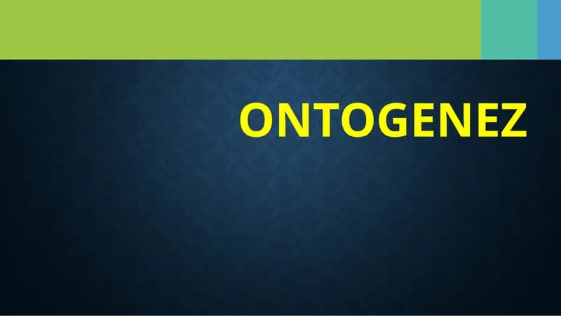 Ontogenez