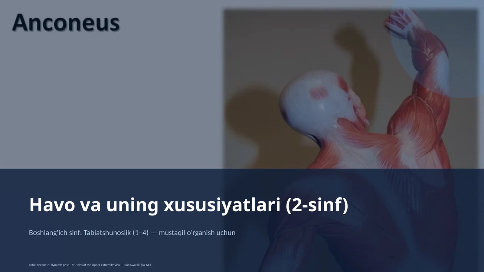 Havo va uning xususiyatlari (2-sinf)