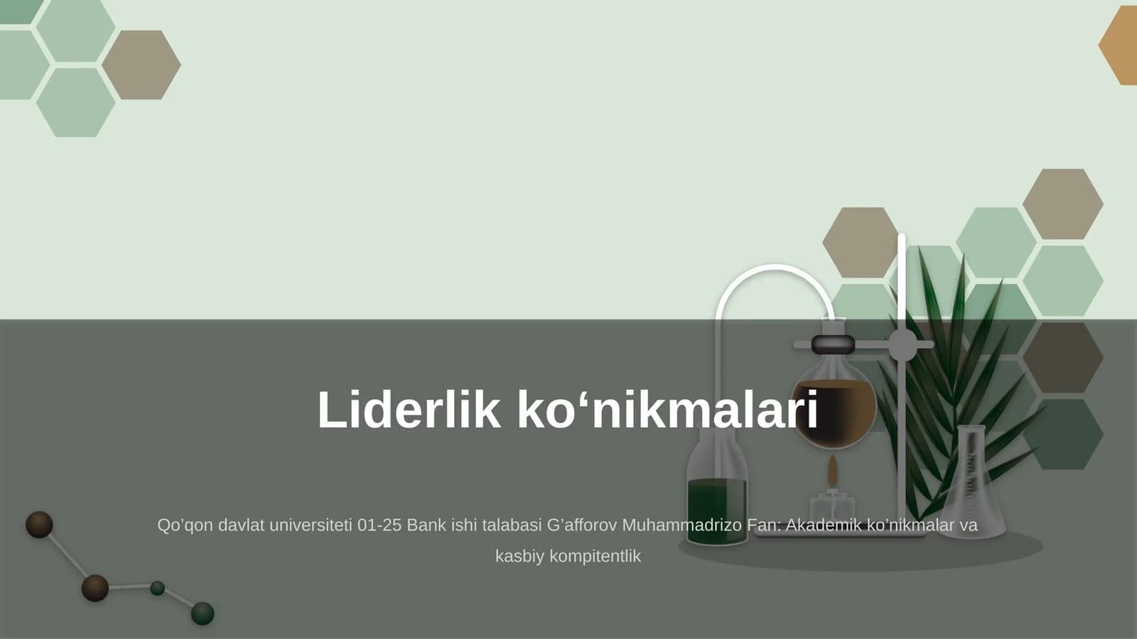 Liderlik ko‘nikmalari