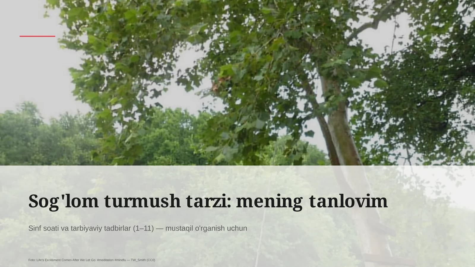 Sog'lom turmush tarzi: mening tanlovim