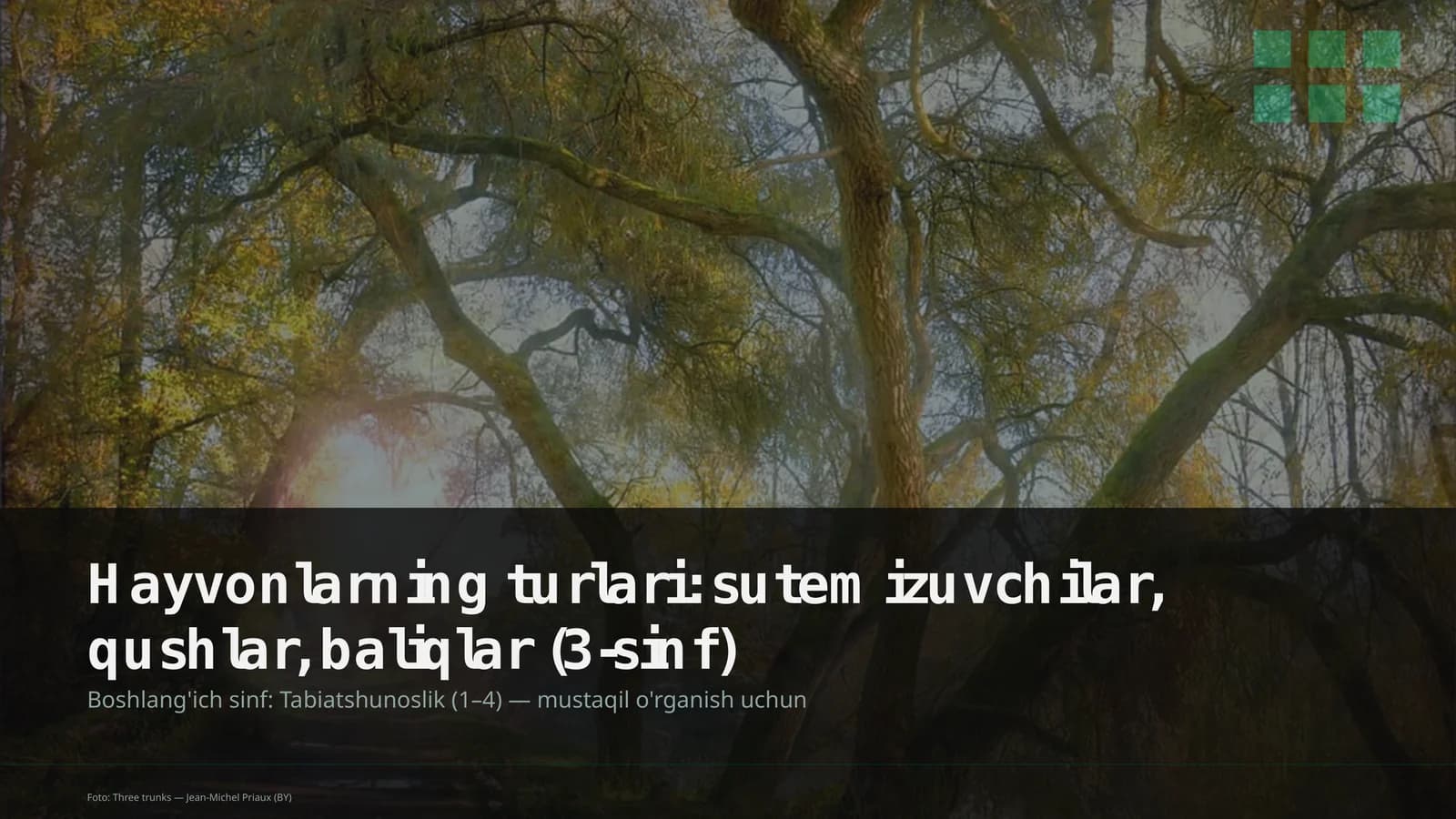Hayvonlarning turlari: sutemizuvchilar, qushlar, baliqlar (3-sinf)