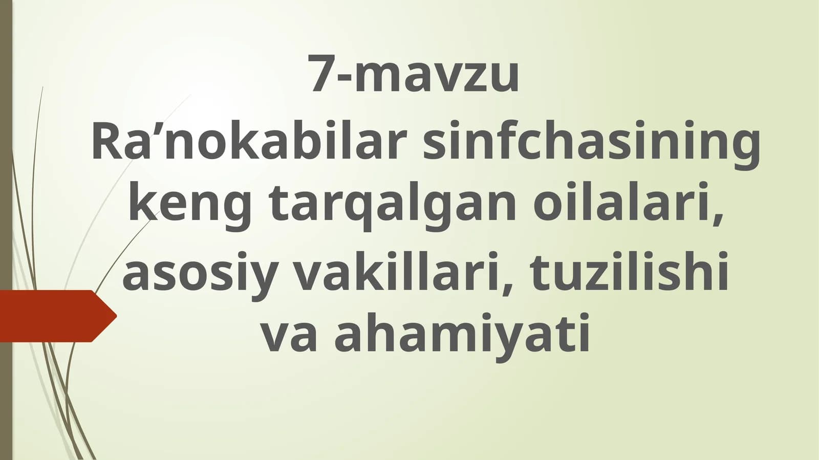 Ra’nokabilar sinfchasining keng tarqalgan oilalari, asosiy vakillari, tuzilishi va ahamiyati