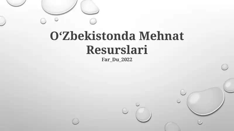 Oʻzbekistonda Mehnat Resurslari
