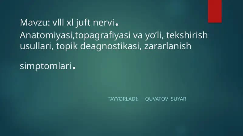 VIII JUFT DAHLIZ-CHIG‘ANOQ NERVI (n.vestibulocohlearis)