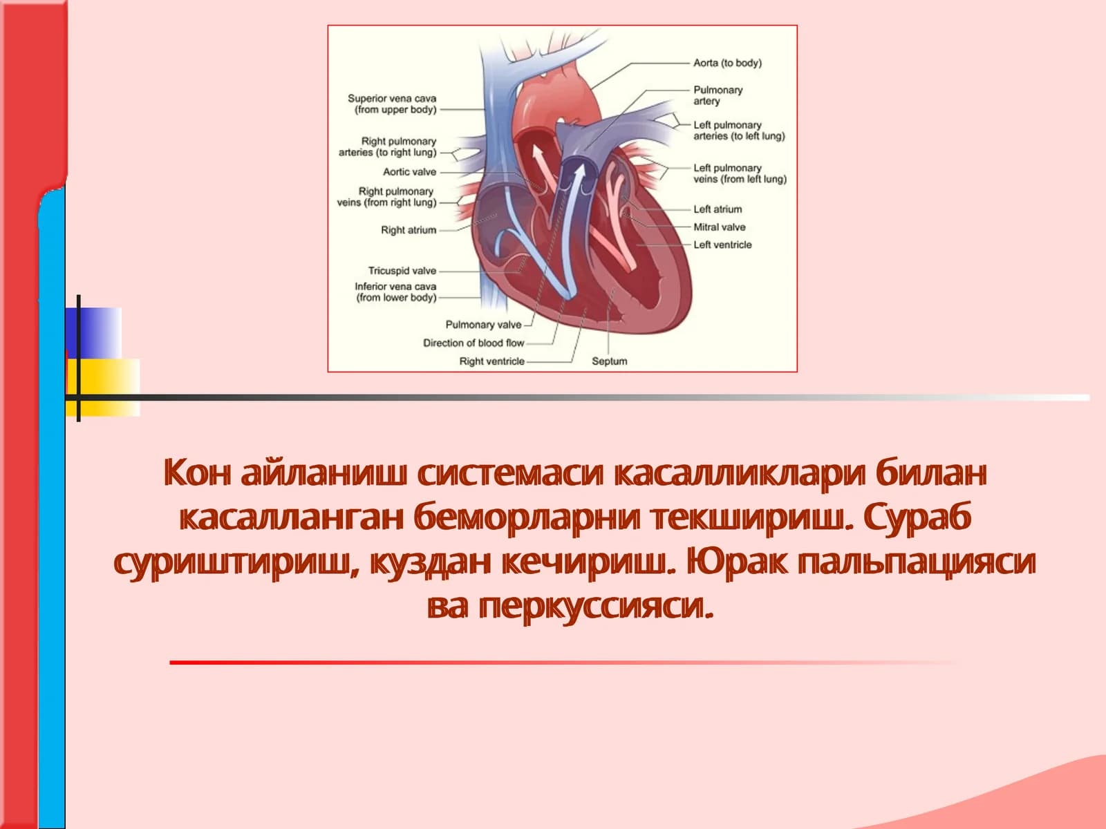 Кон айланиш системаси касалликлари билан касалланган беморларни текшириш