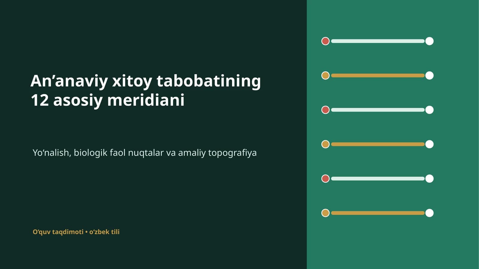 An’anaviy xitoy tabobatining 12 asosiy meridiani