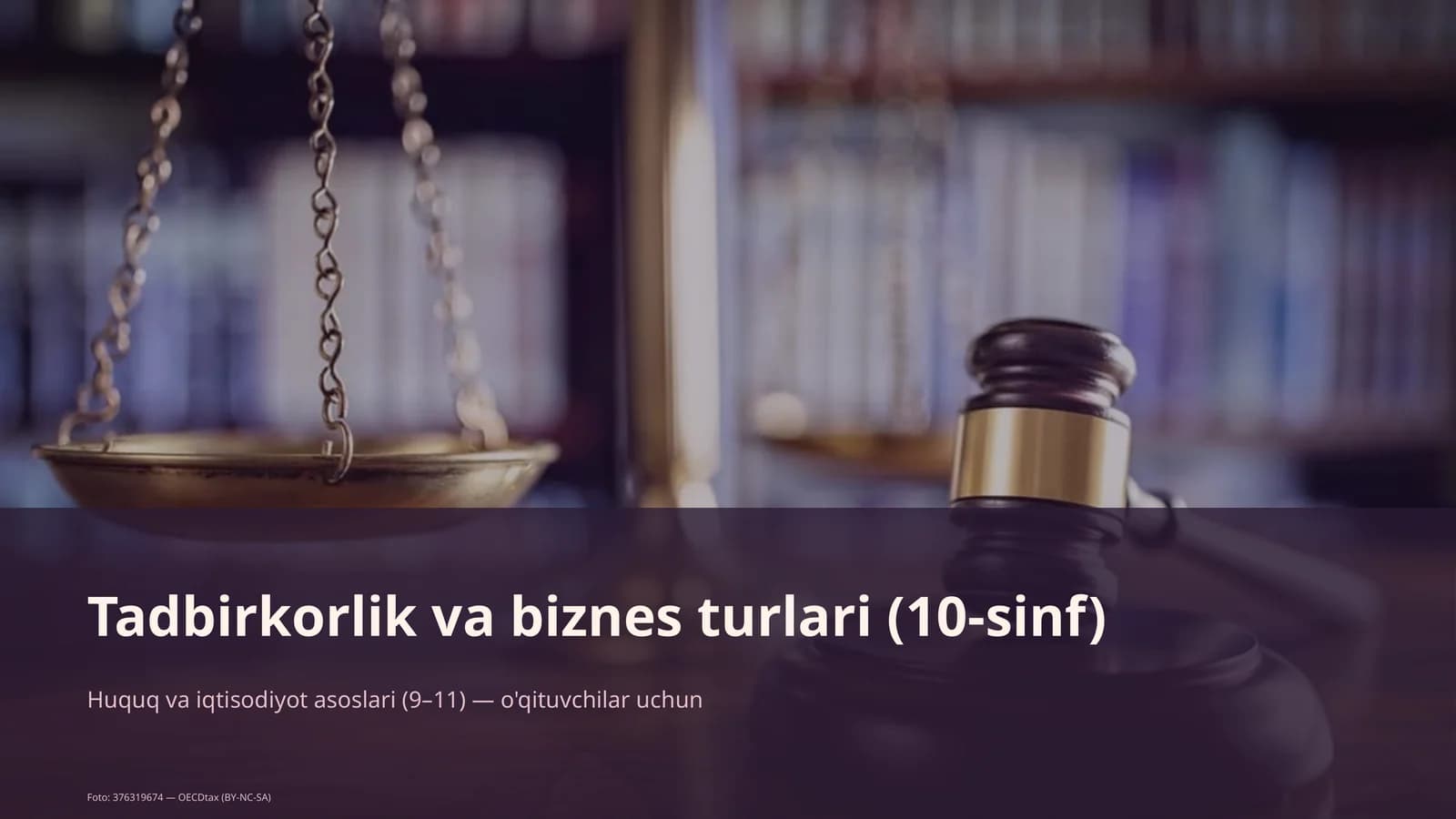 Tadbirkorlik va biznes turlari (10-sinf)