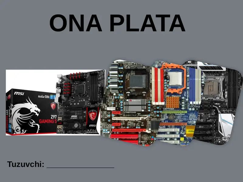 ONA PLATA